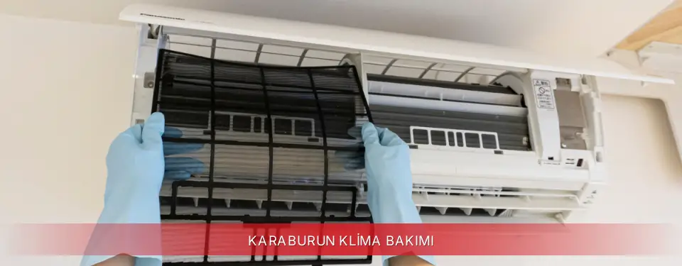 Karaburun İlçemi Regal Klima Bakımı